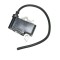 Stihl Ignition Module