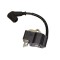 Stihl Ignition Module