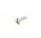 Stihl Pan Head Self-Tapping Screw P4X12